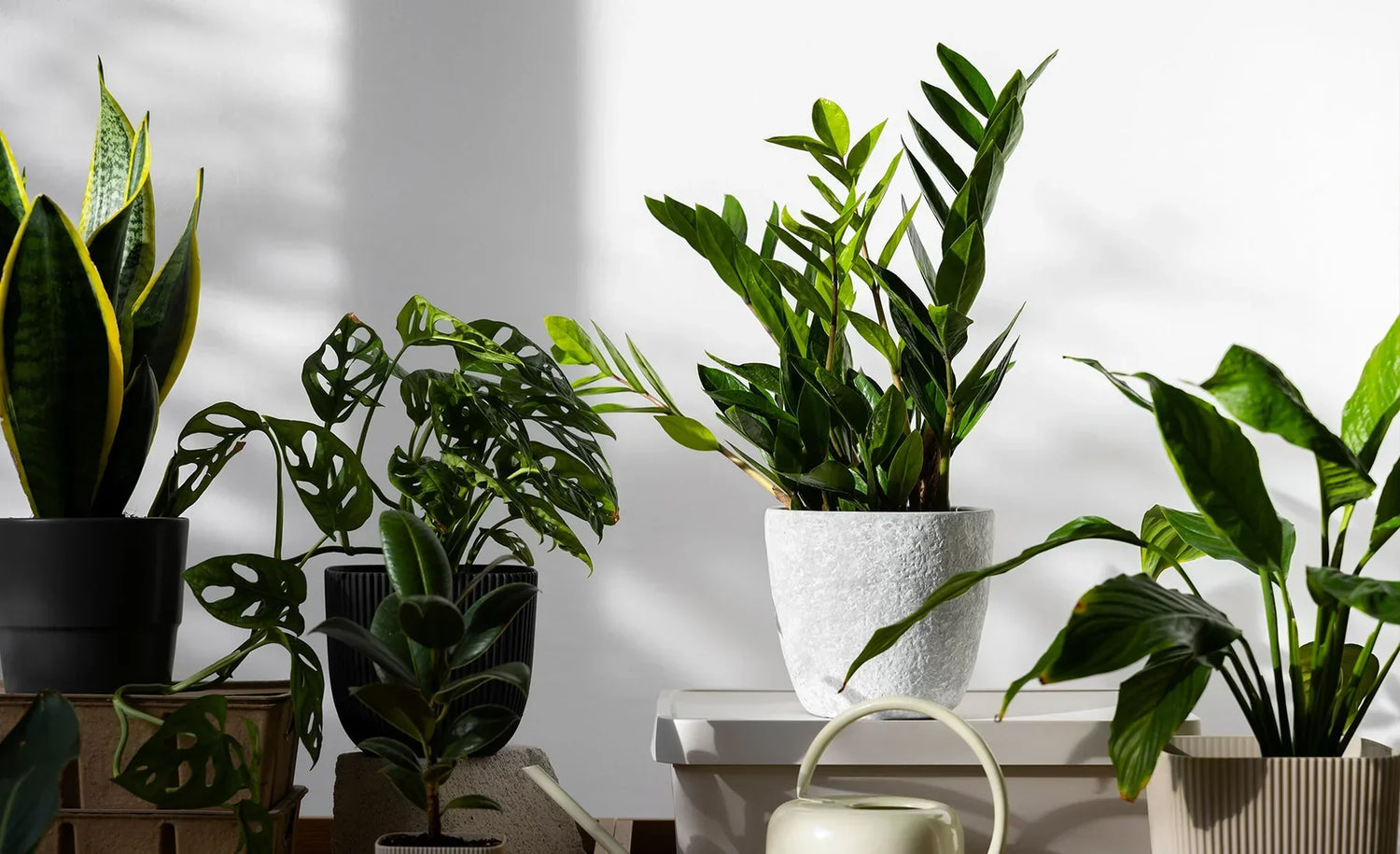 Essential Accessories for a Perfect Green Setup