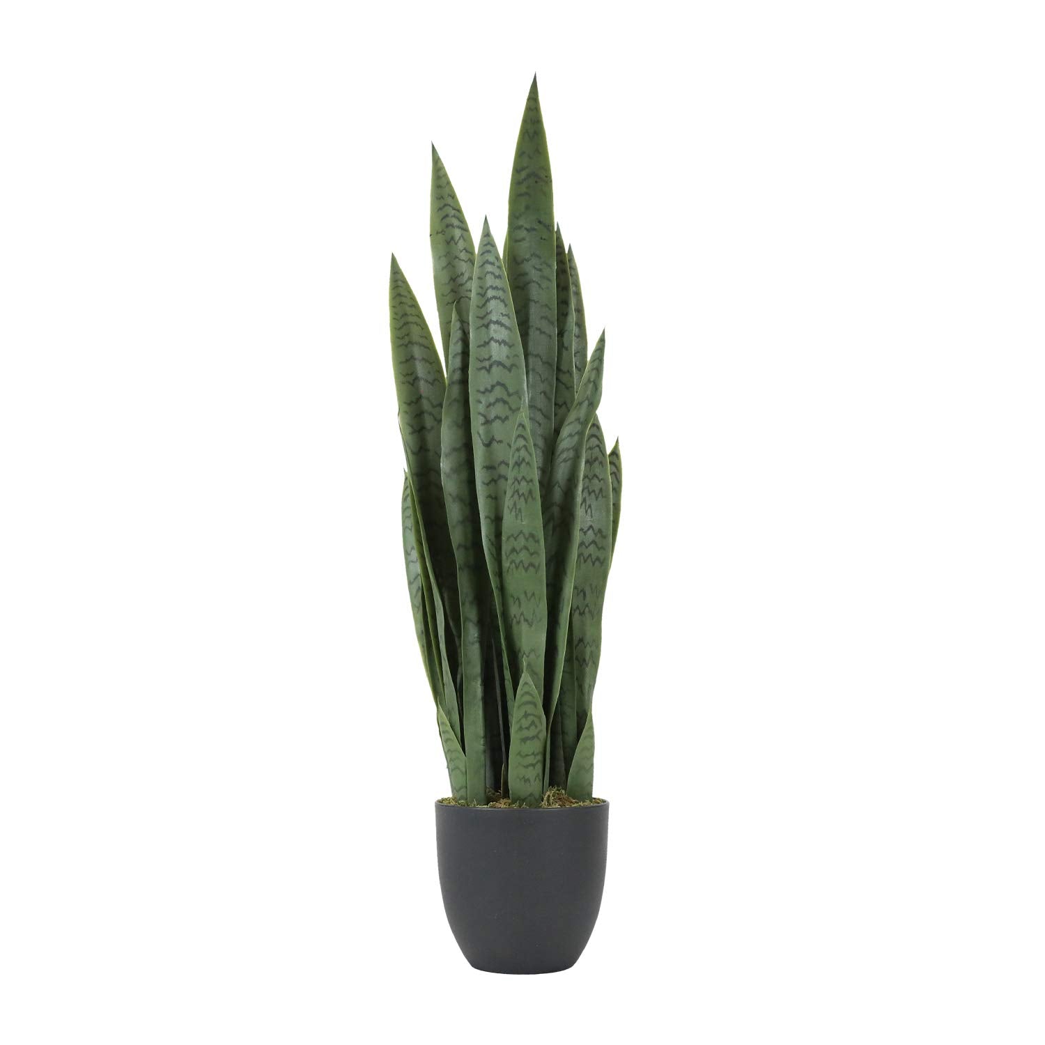 Snake Plant Pros &amp; Cons: Why Faux Is the Smarter Pick (2026 Guide)