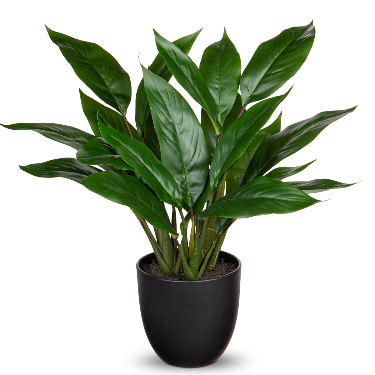 Our Top 15 Most Realistic Artificial Plants for Home Decor (2026 Guide)