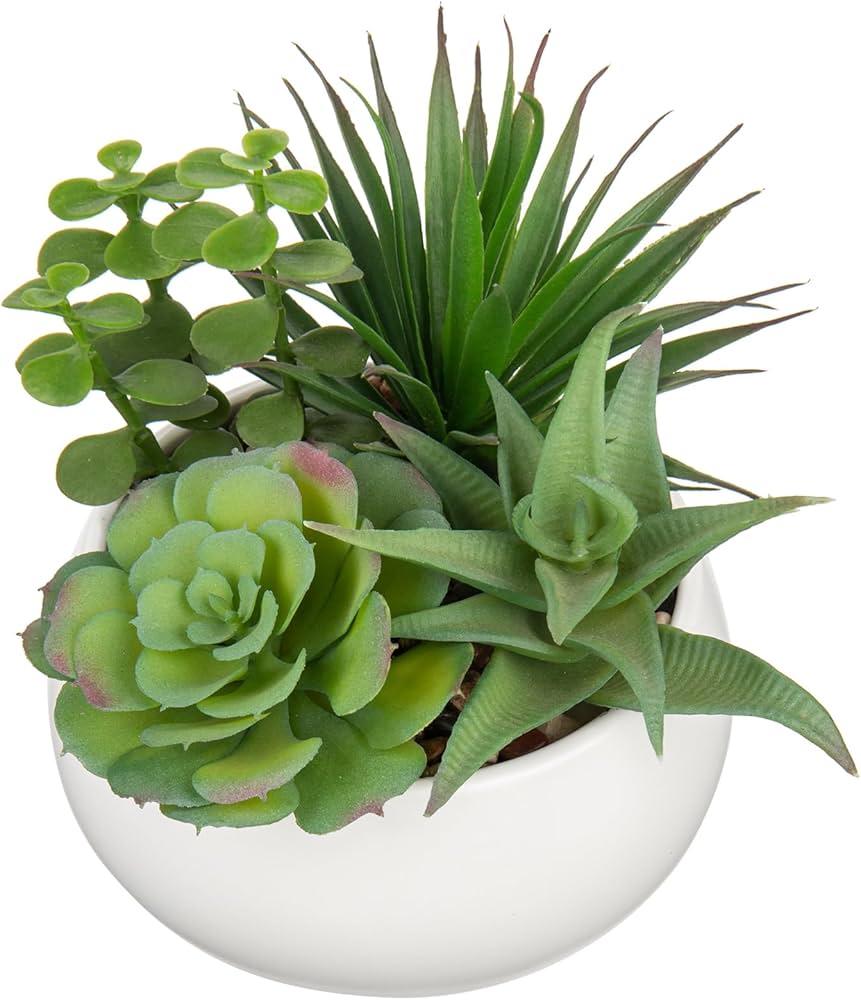 A Guide to Decorating with Artificial Succulents