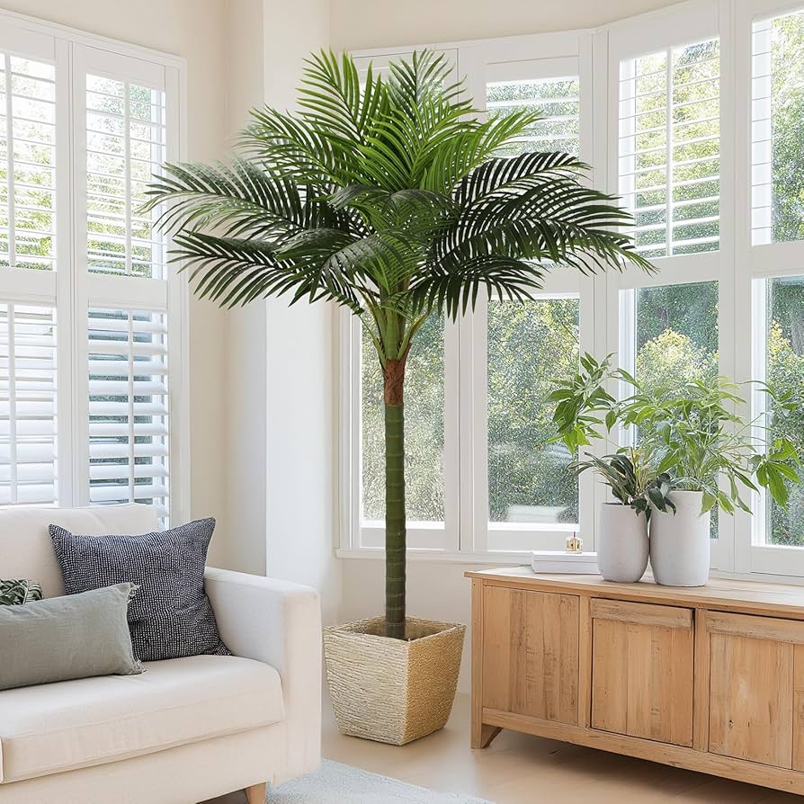 Buying Guide: Types of Palm Trees for Your Home (2026 Edition)