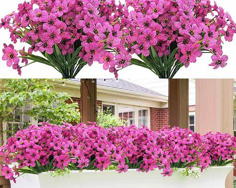 Father’s Day Gifts: Outdoor Plants &amp; Trees Edition