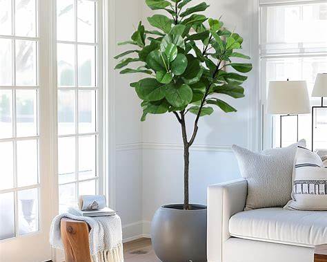 Seasonal Spotlight: Artificial Fiddle Leaf Fig Tree