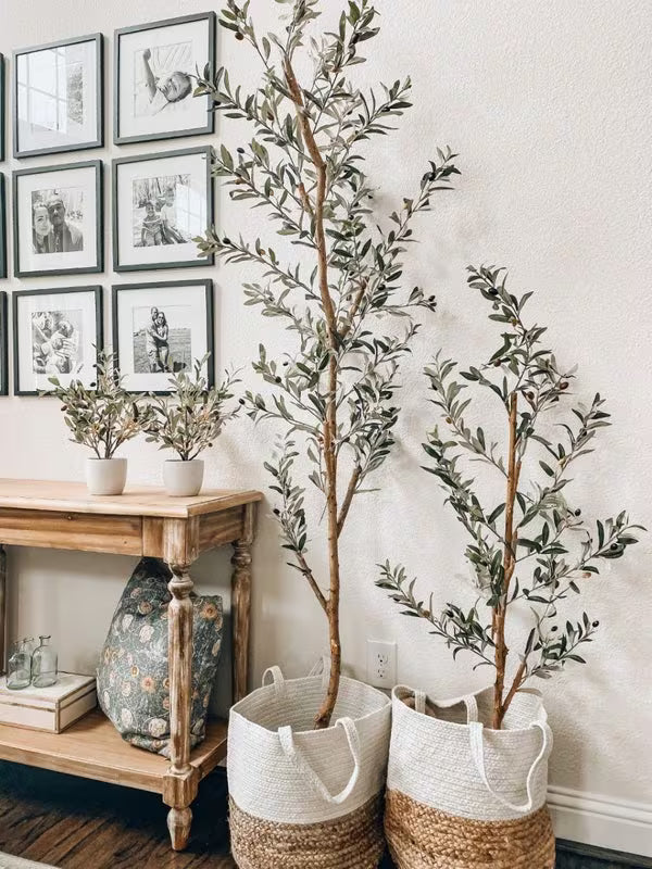 Seasonal Spotlight: Faux Olive Trees