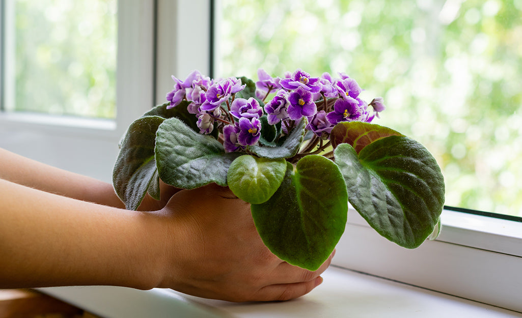 Best Mother’s Day Gifts – Artificial Greenery Edition