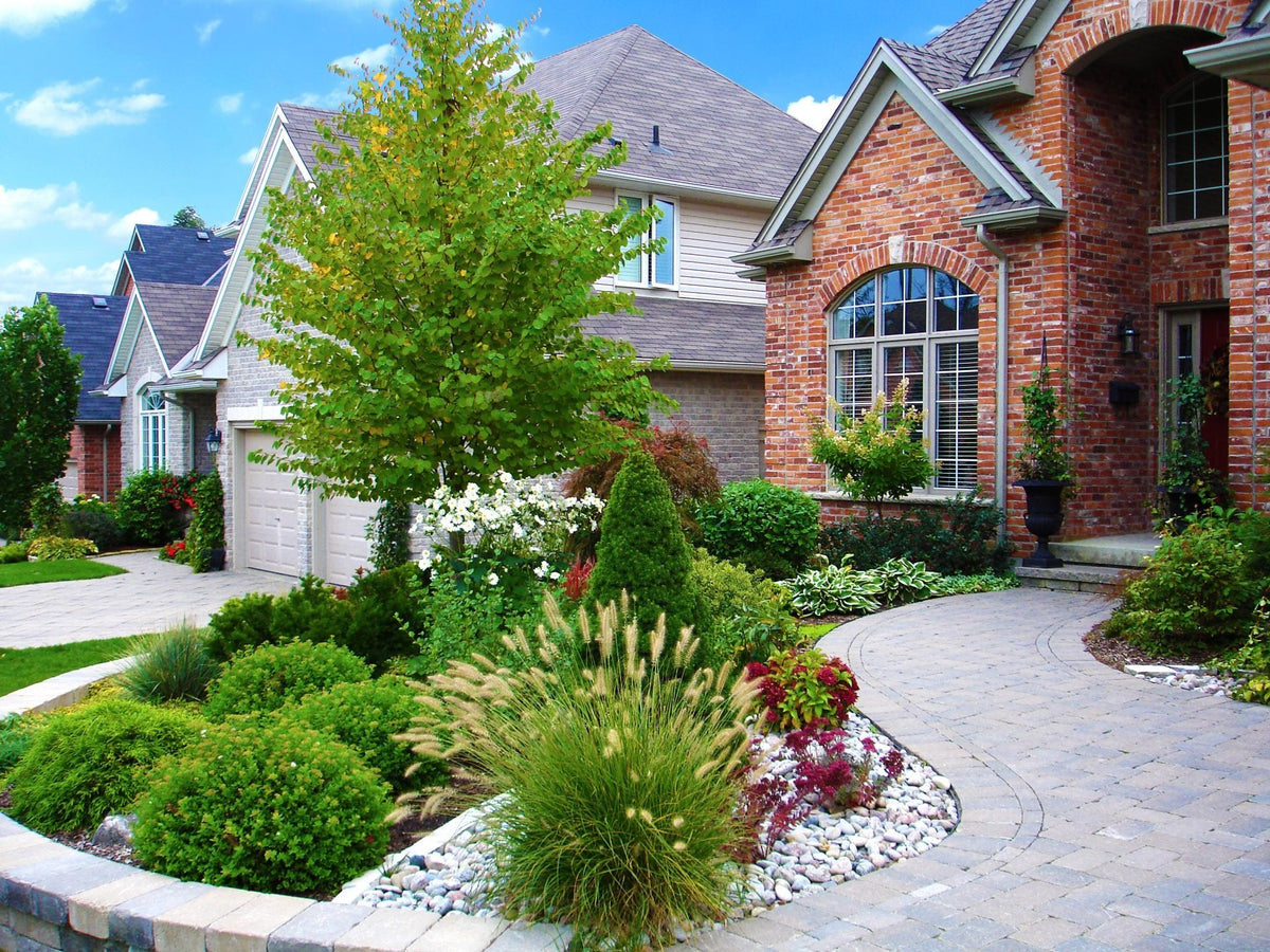 Easy Ways to Boost Curb Appeal and Increase Resale Value (2026 Guide)