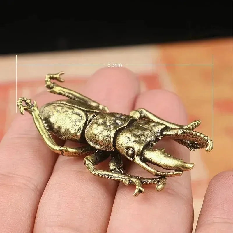Solid Brass Beetle