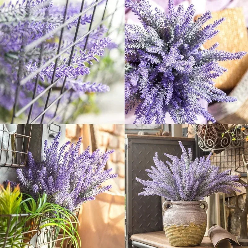Provence Lavender