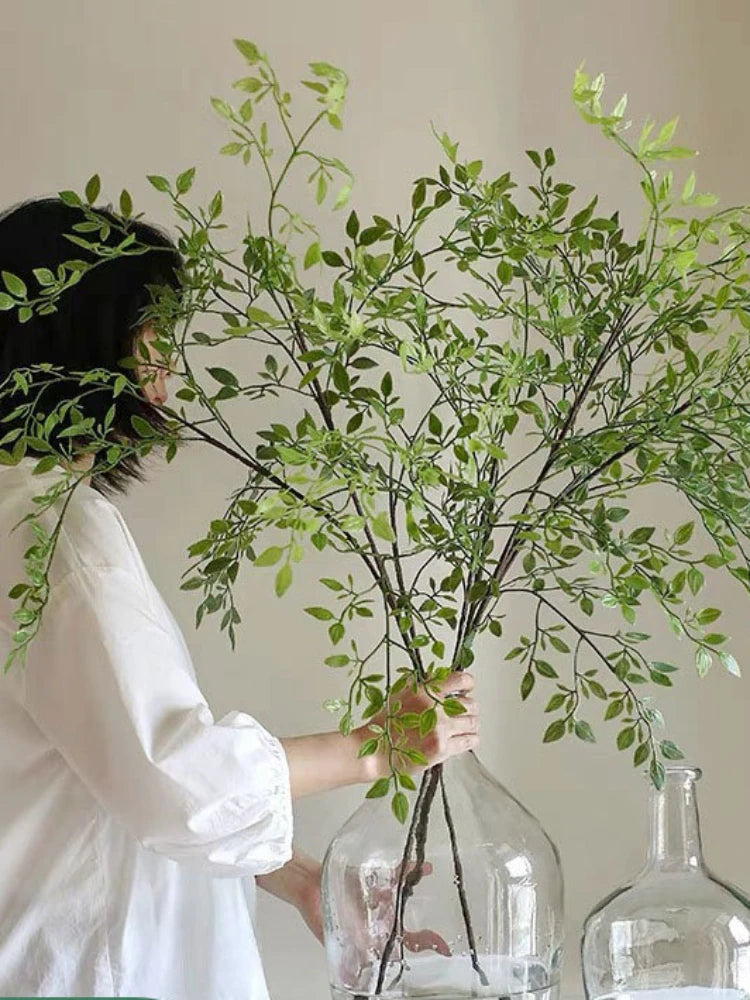 Single Branchforsythia