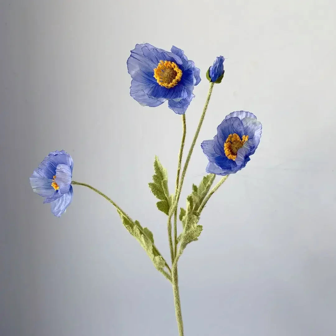 Poppy Stems
