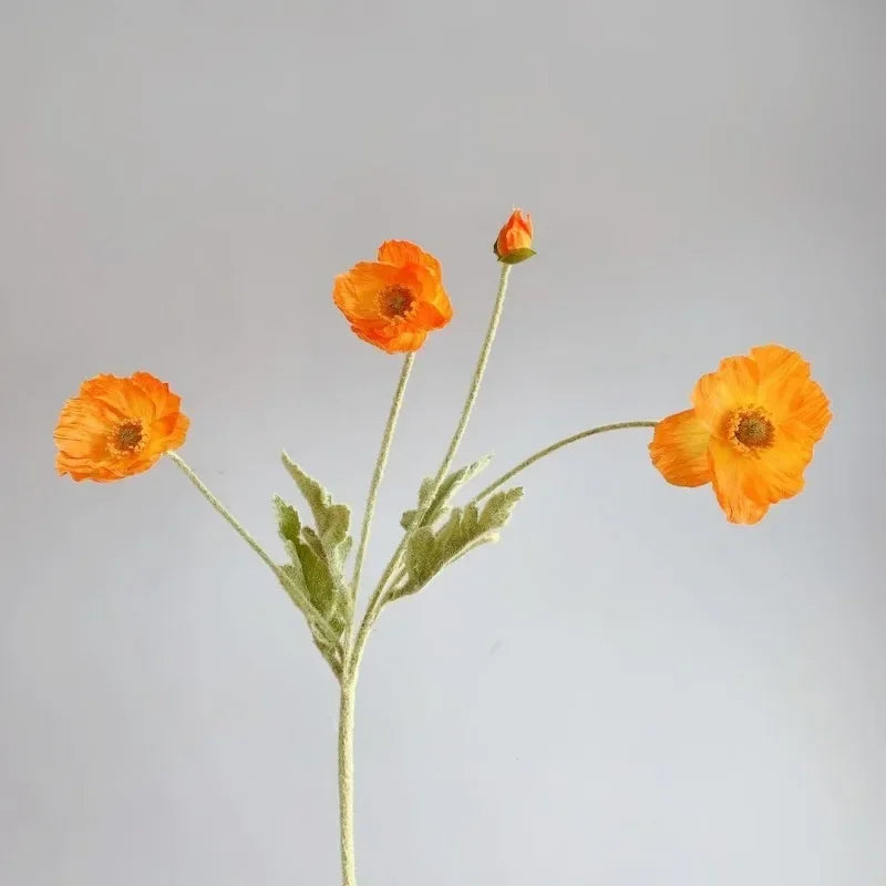 Poppy Stems
