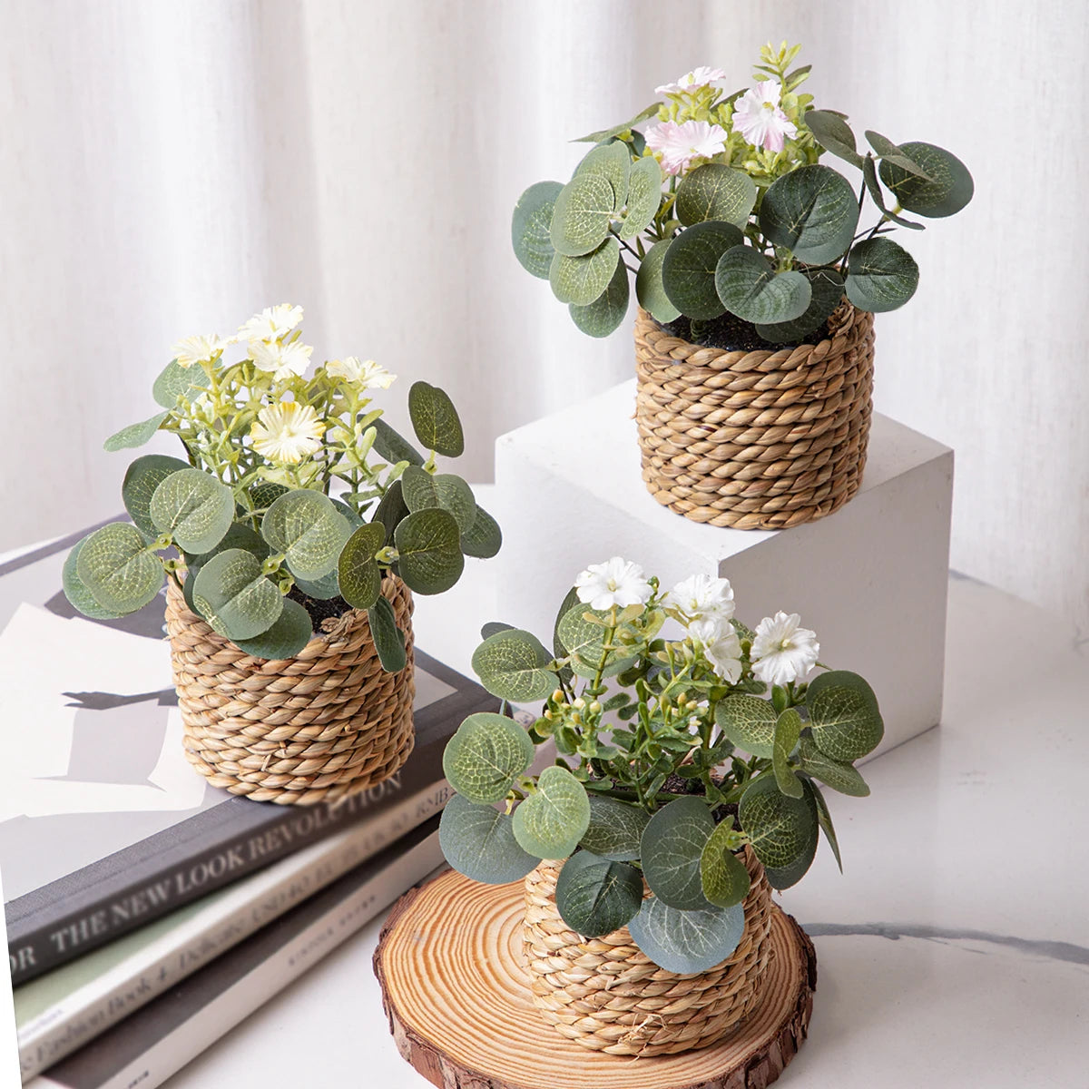 Eucalyptus Xiya Flower