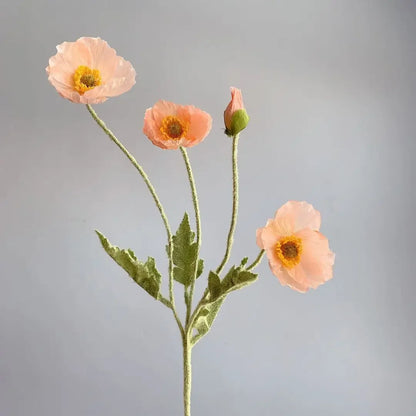 Poppy Stems