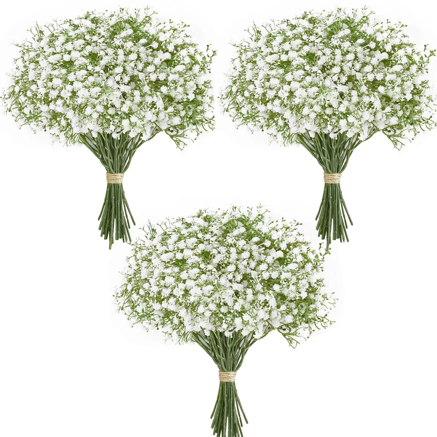 Baby Breath Blooms