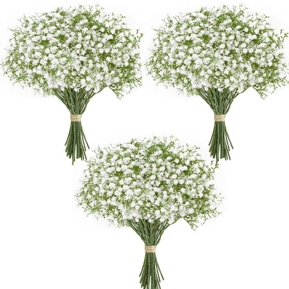 Baby Breath Blooms