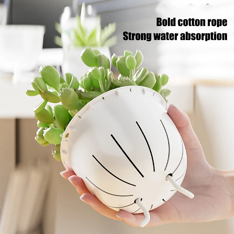 Self Watering Flowerpot