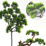 Pine Plant Branch