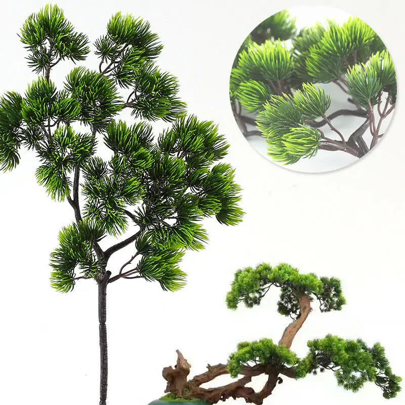 Pine Plant Branch
