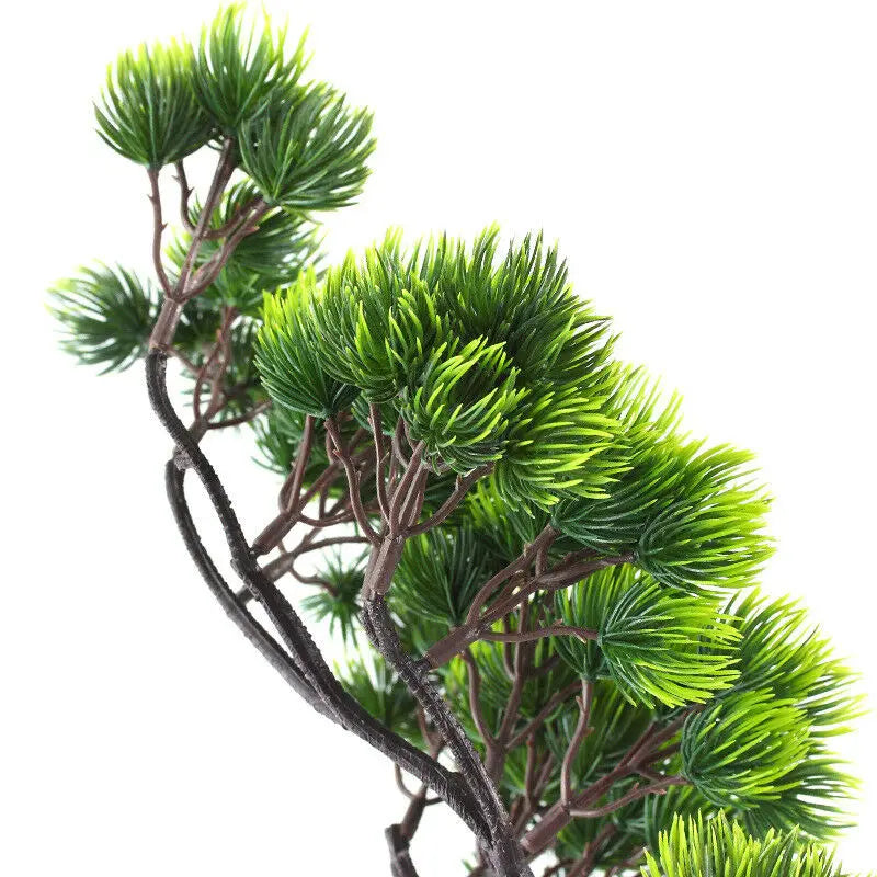 Pine Plant Branch