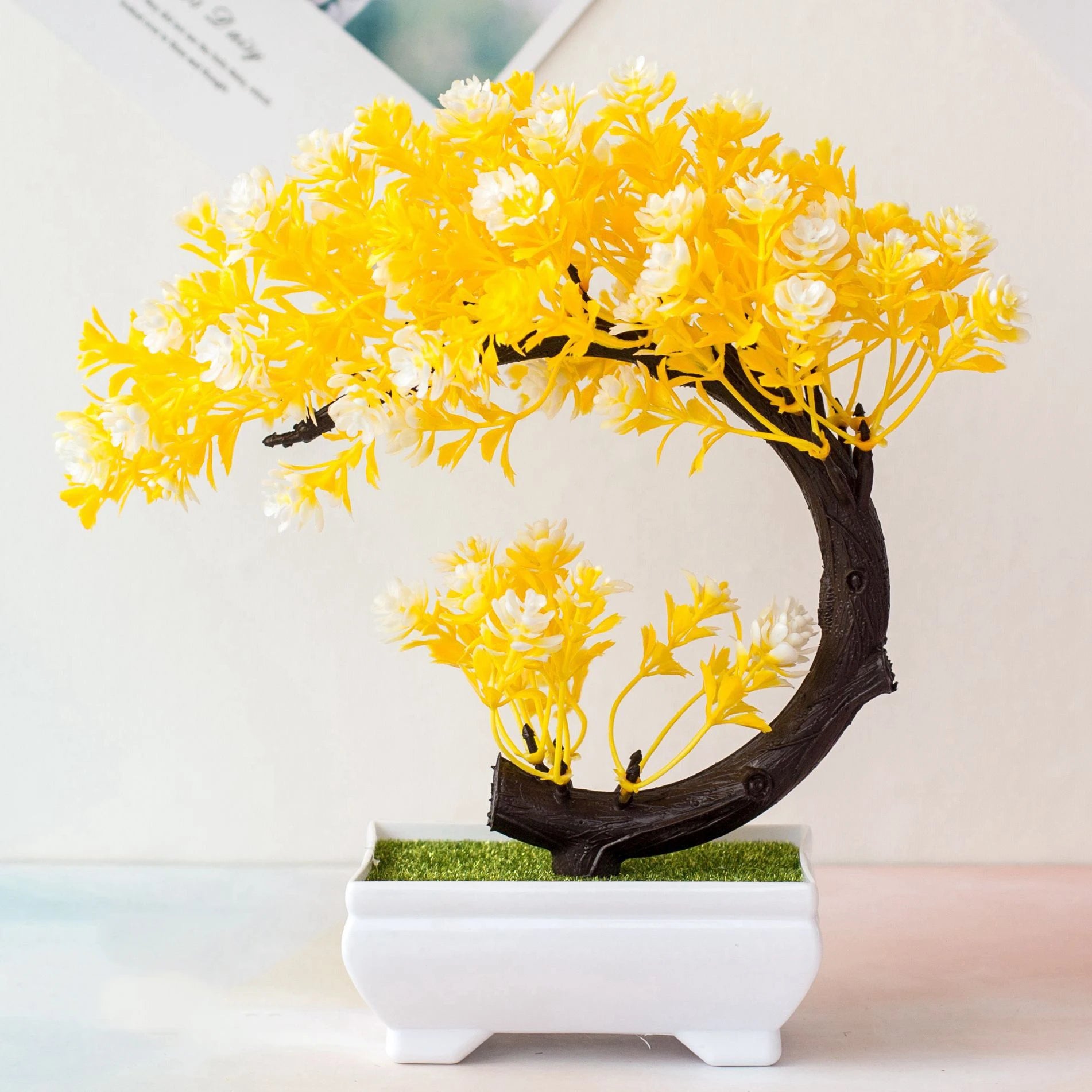 Crescent Bonsai