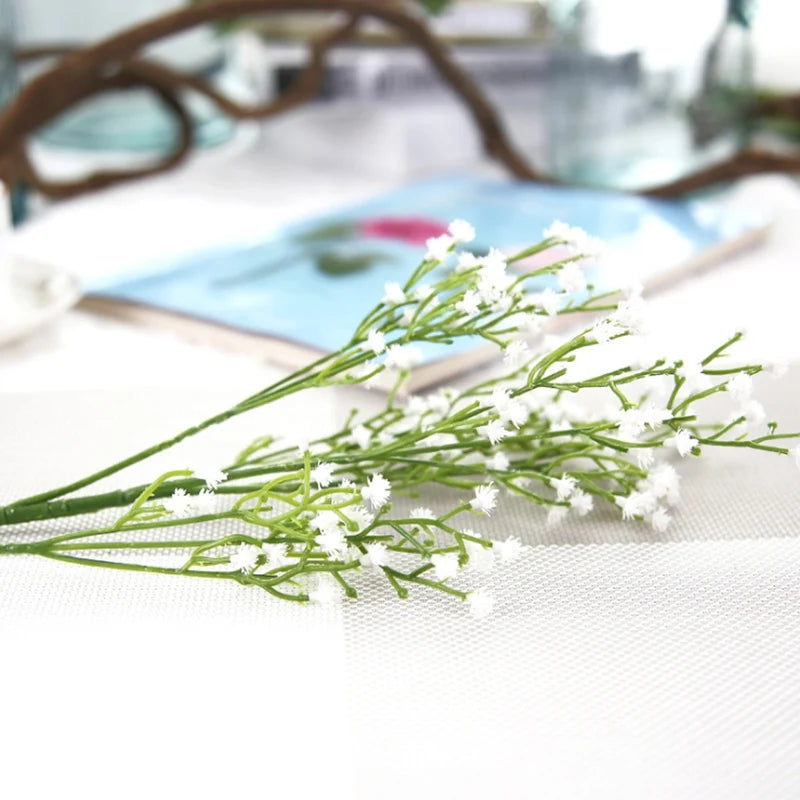 Gypsophila Stems