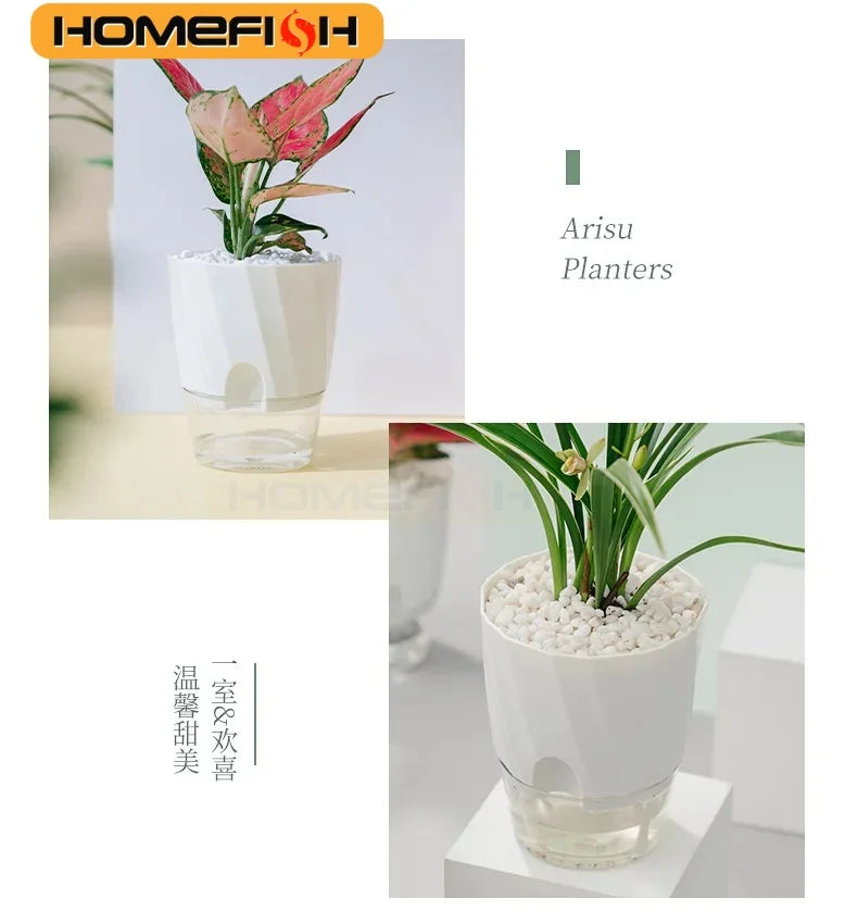 Planter Lazy Hydroponic