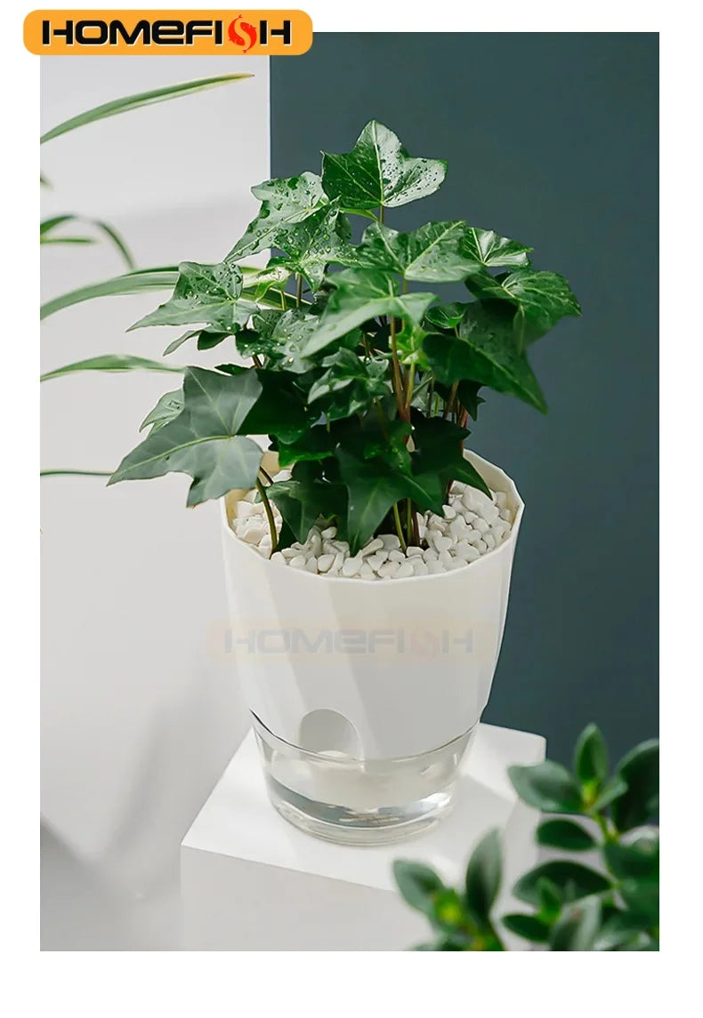 Planter Lazy Hydroponic