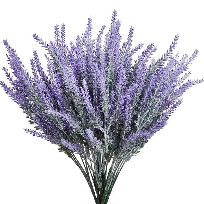Provence Lavender