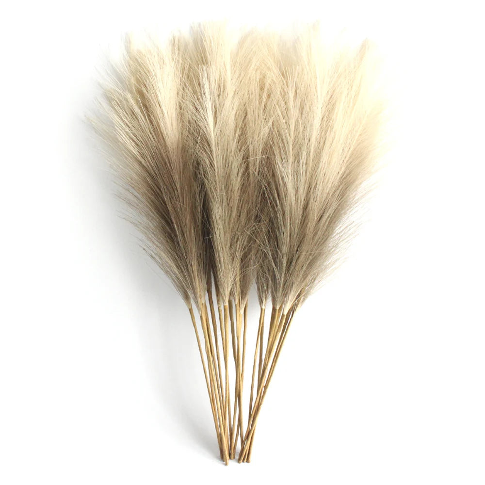 Pampas Grass Stems