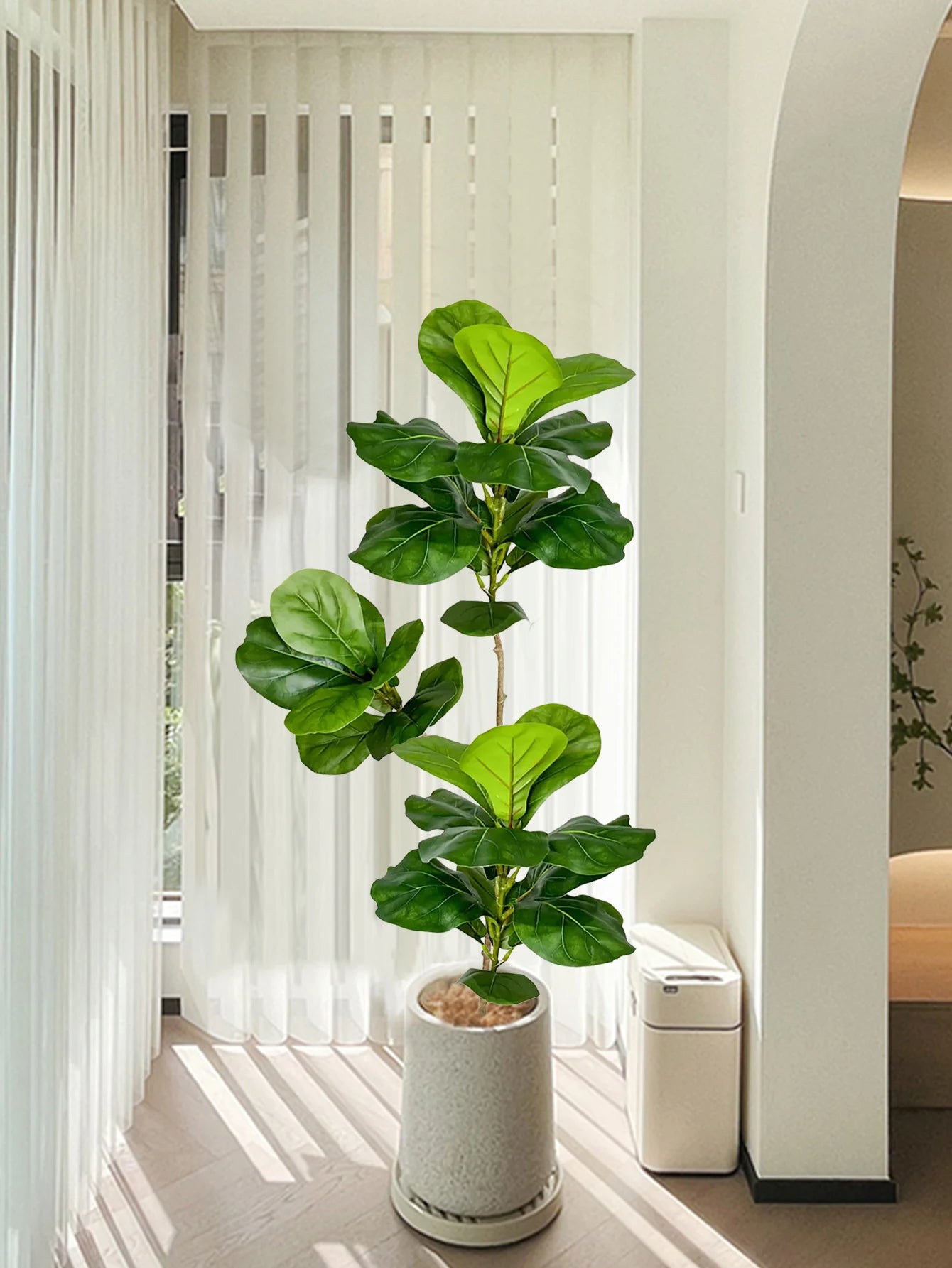 Ficus Tree Fake