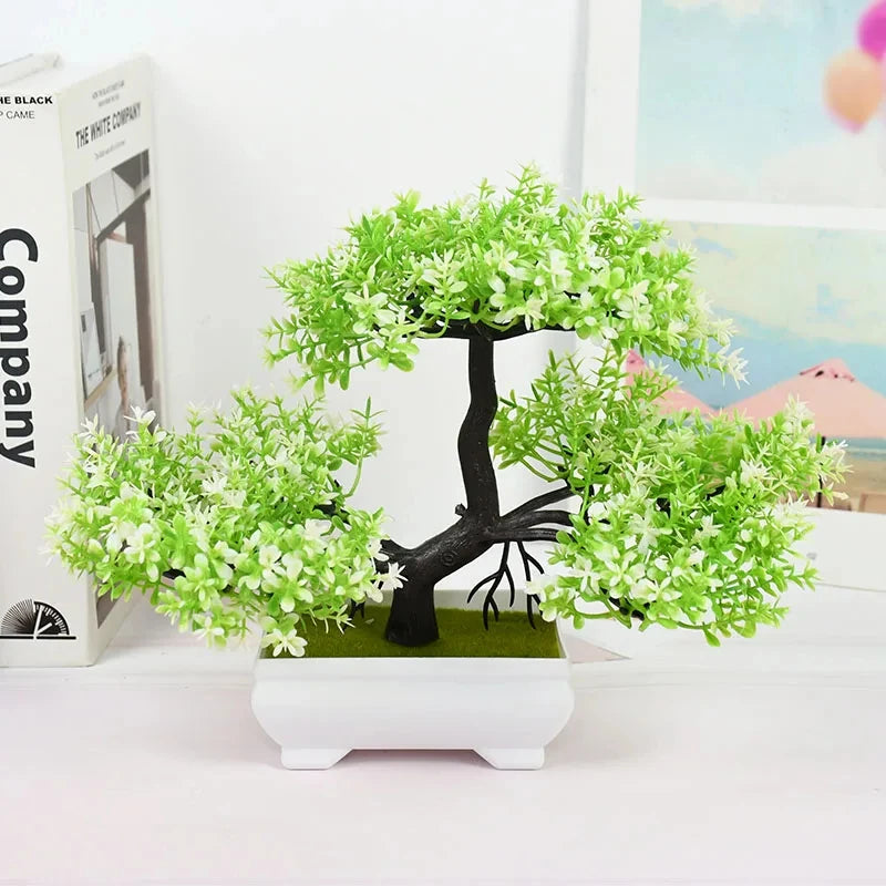 Mini Bonsai