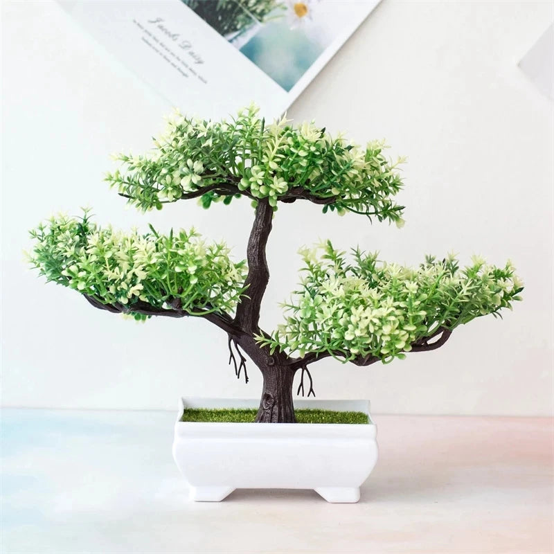 Mini Bonsai
