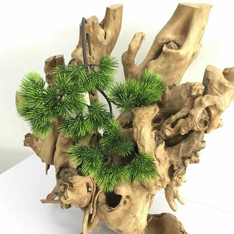Pine Plant Branch