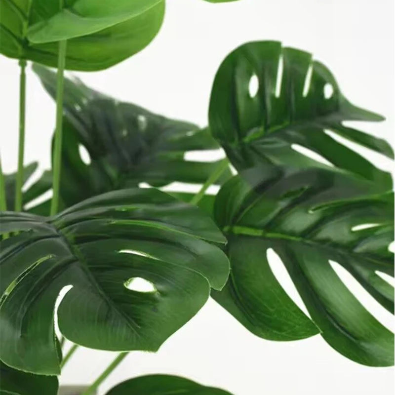 Monstera Stem