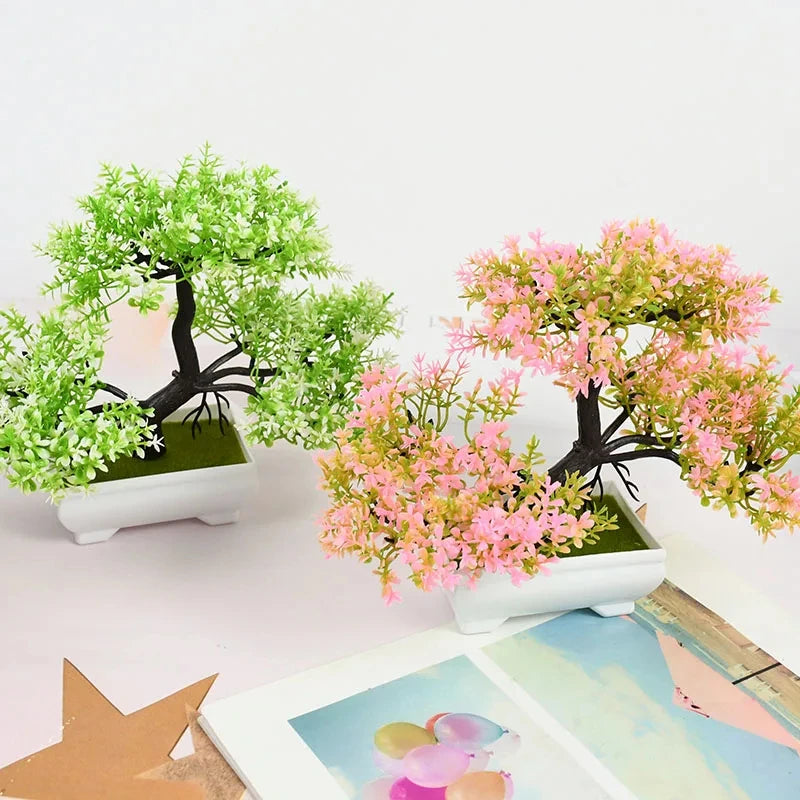 Mini Bonsai