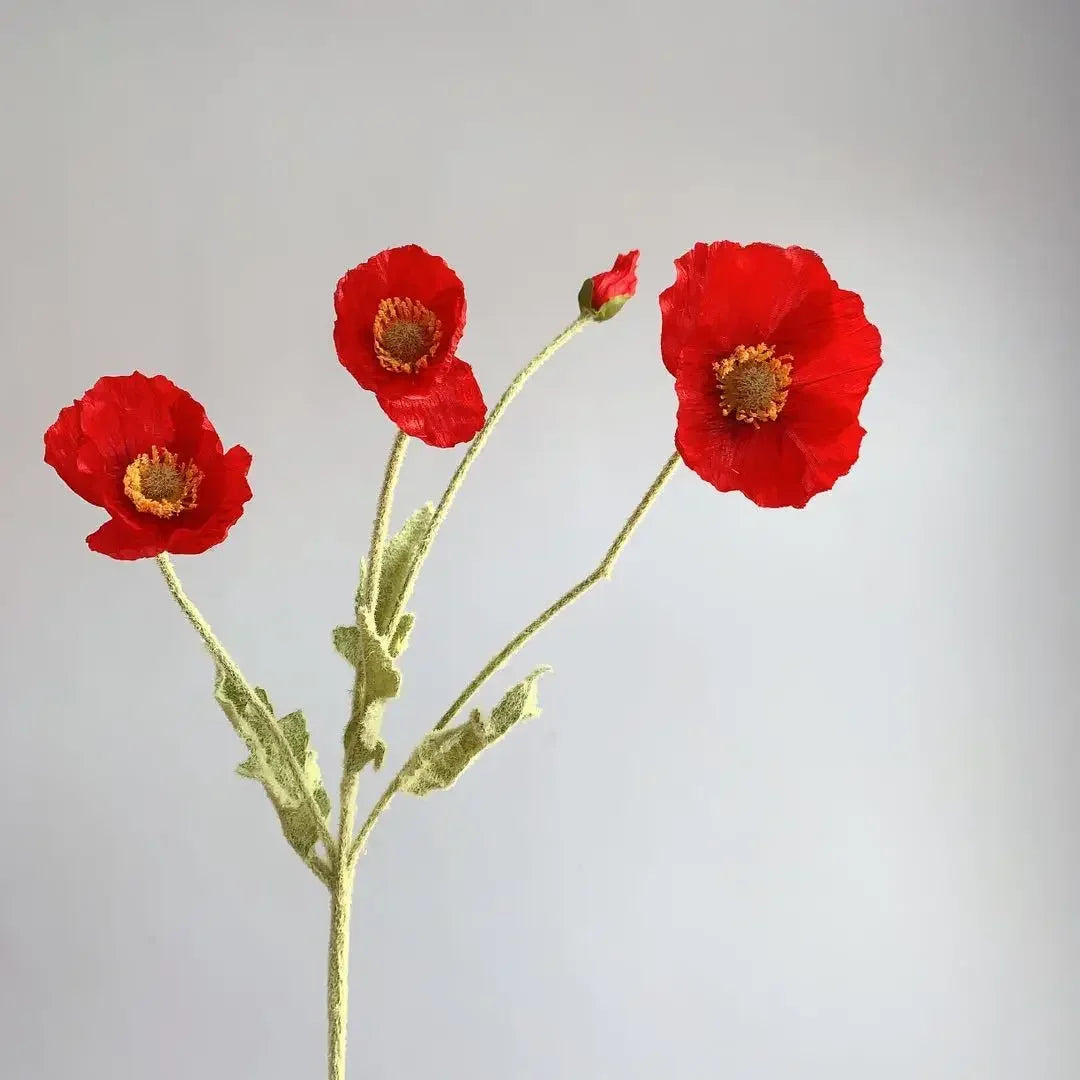 Poppy Stems