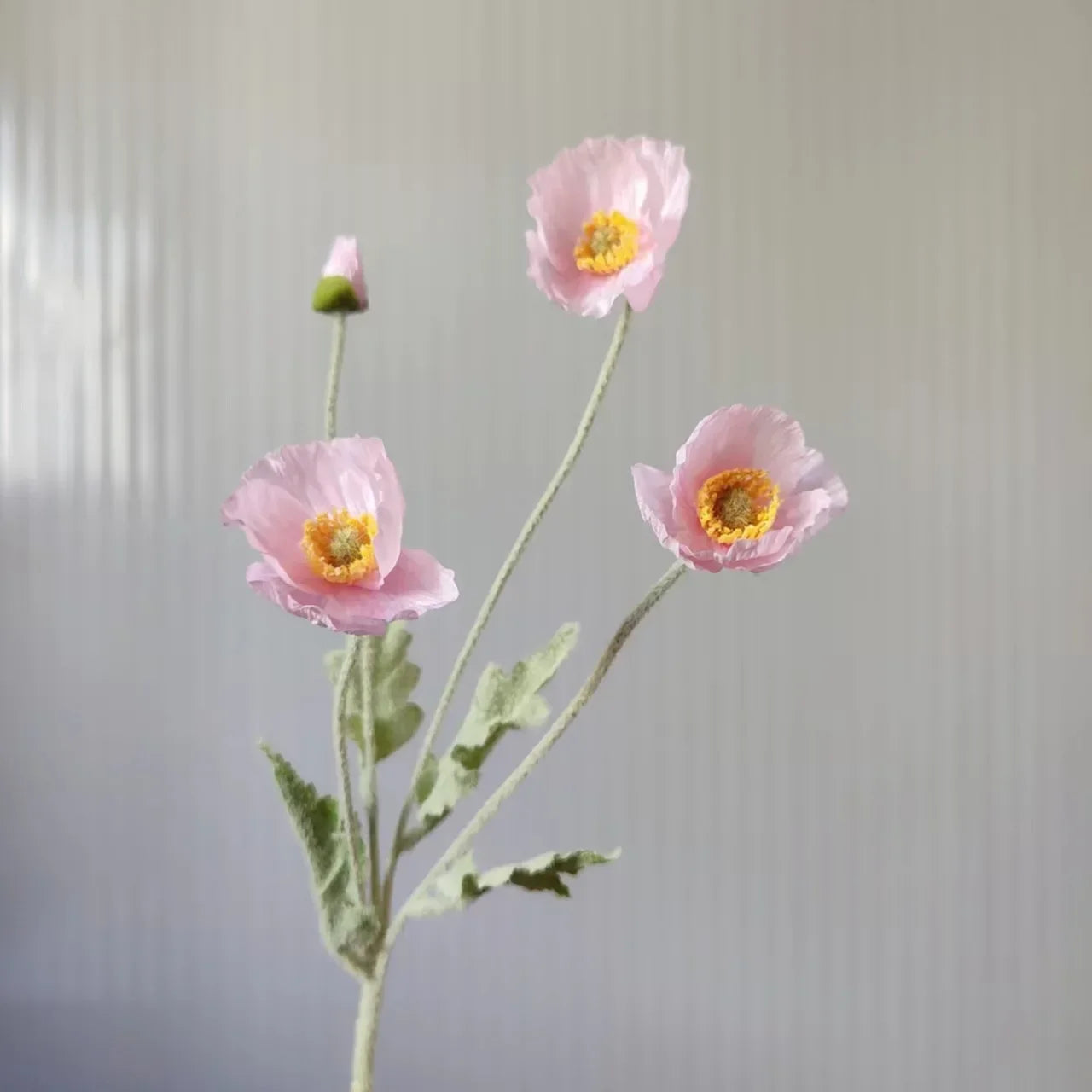 Poppy Stems