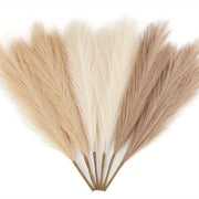Pampas Grass Stems