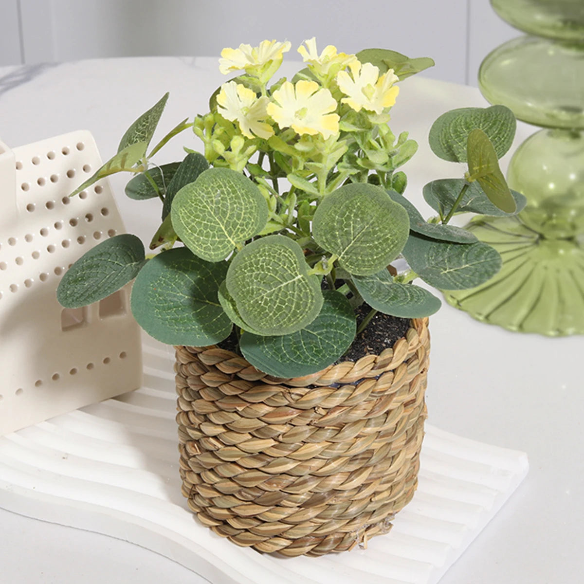 Eucalyptus Xiya Flower