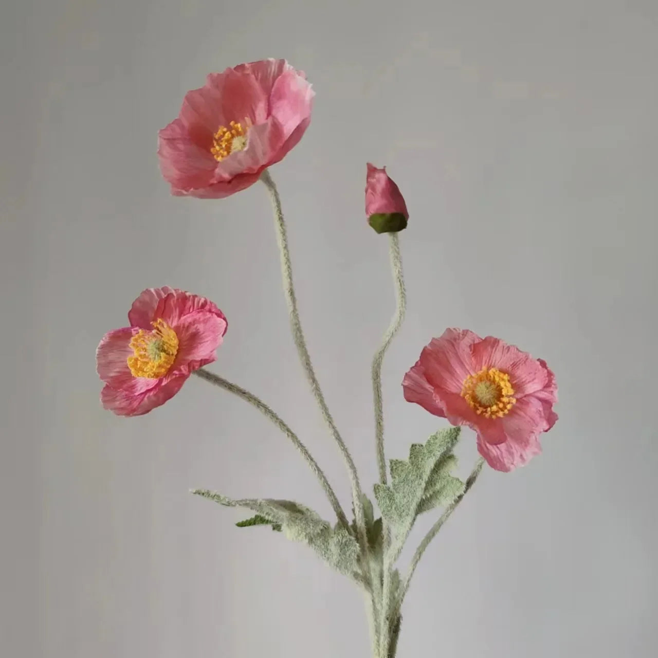 Poppy Stems