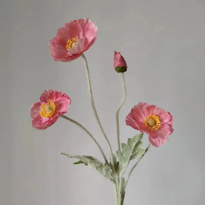 Poppy Stems