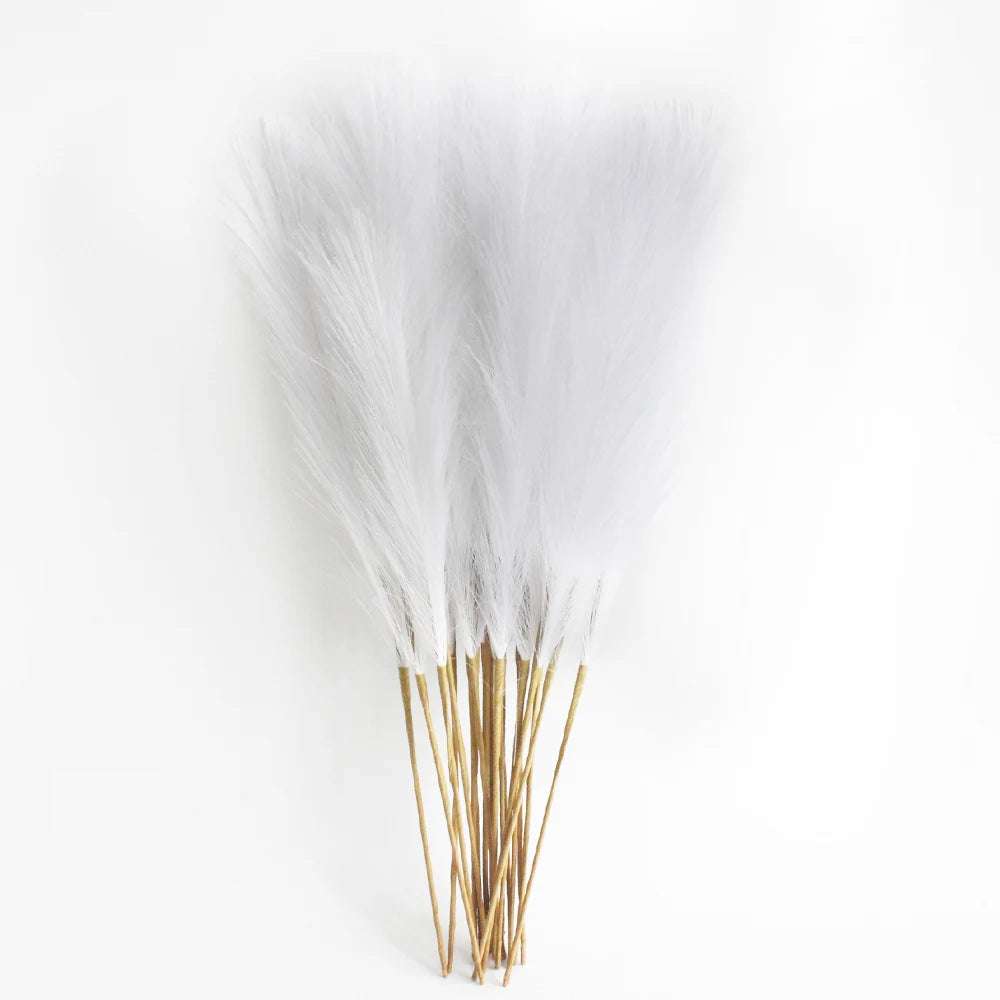 Pampas Grass Stems