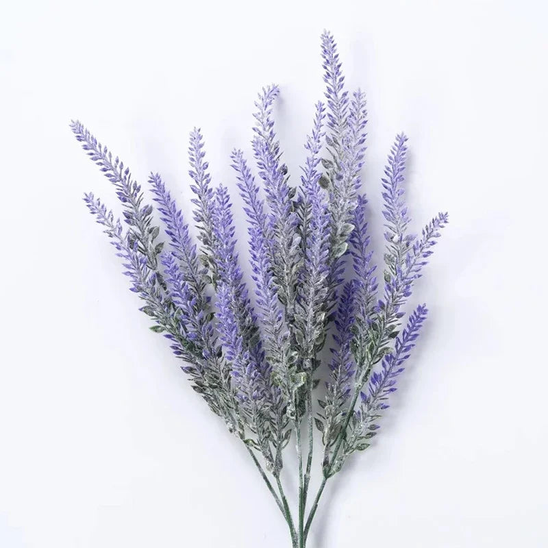 Provence Lavender