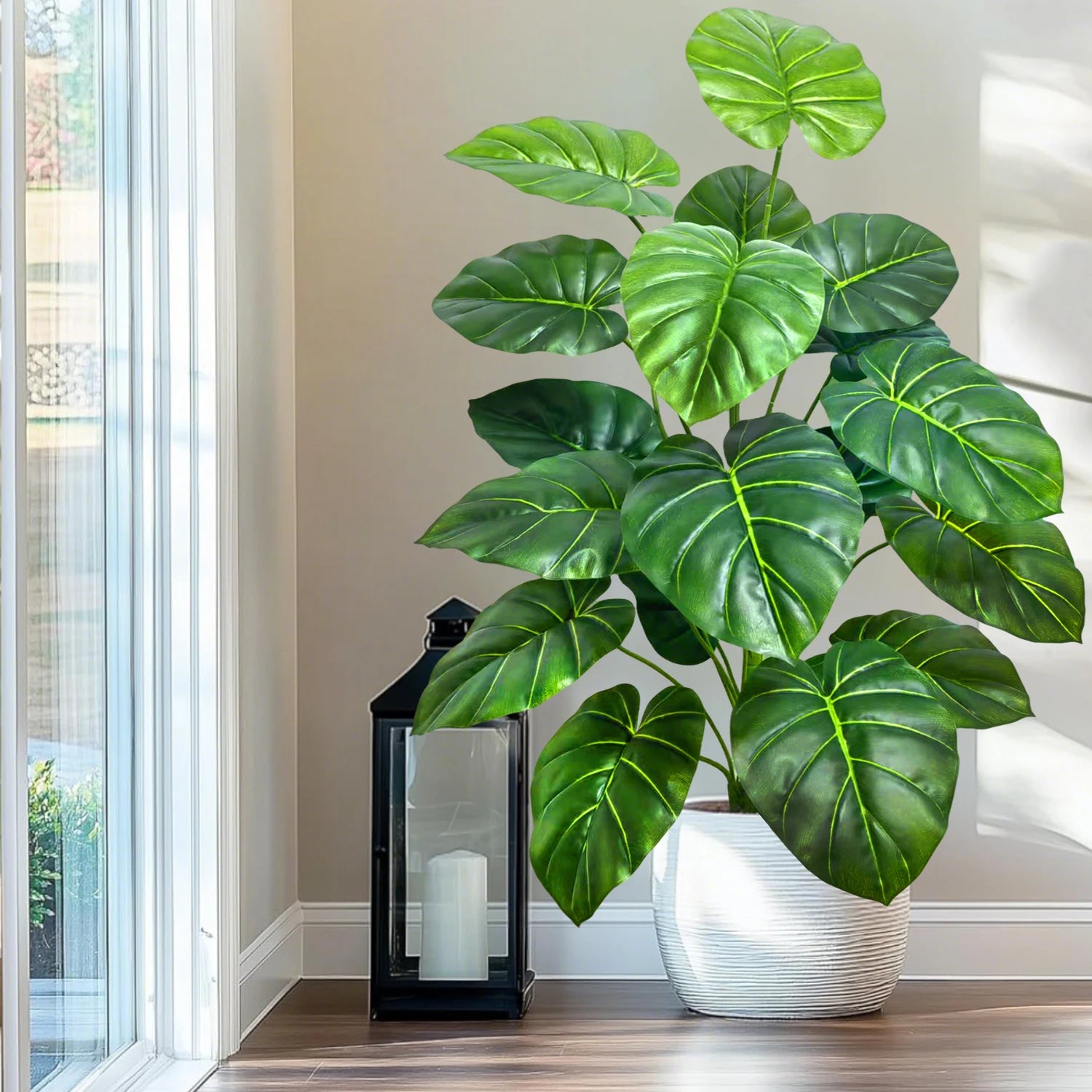 Turtle Monstera Stem