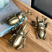 Solid Brass Beetle