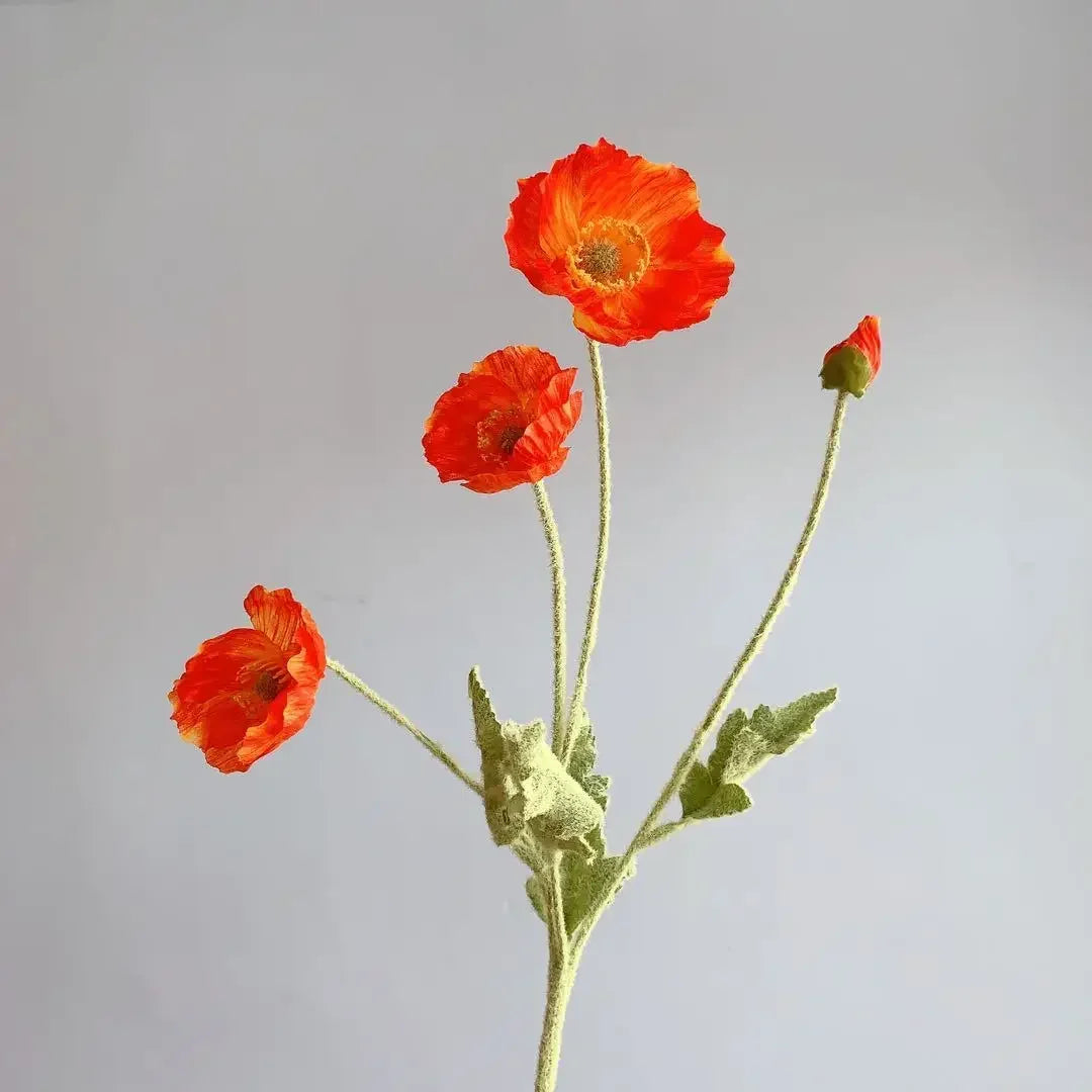 Poppy Stems