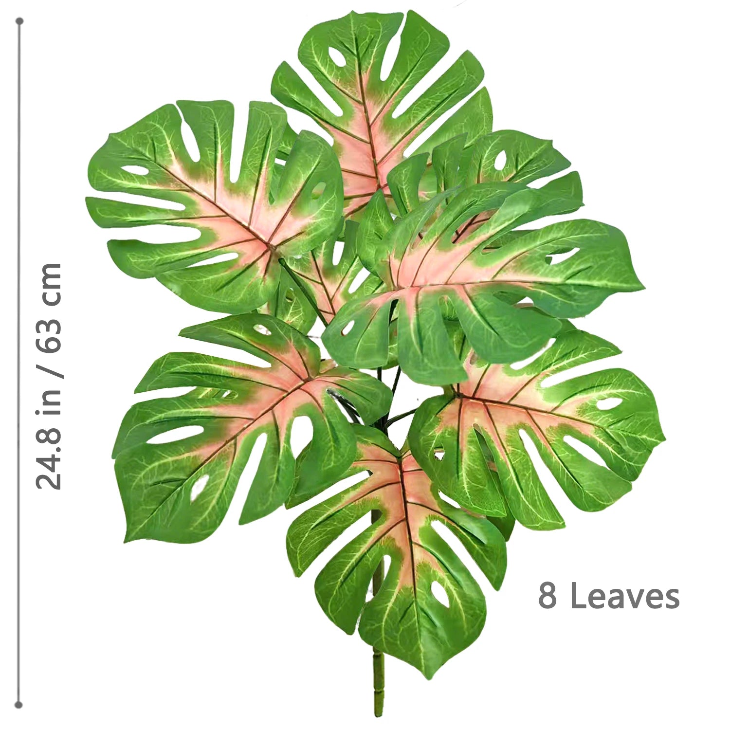 Turtle Monstera Stem
