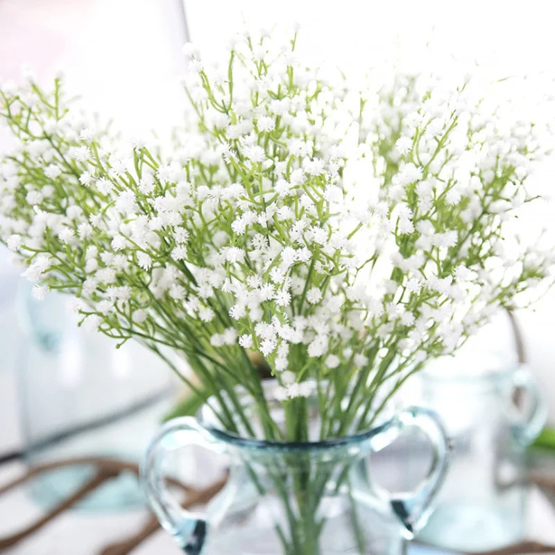 Gypsophila Stems