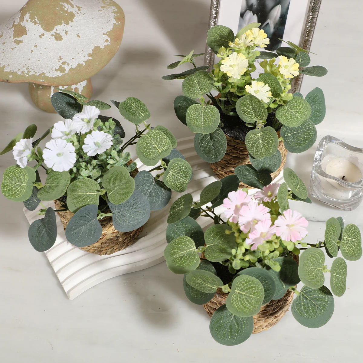 Eucalyptus Xiya Flower