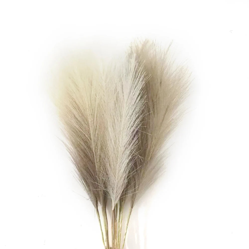 Pampas Grass Stems
